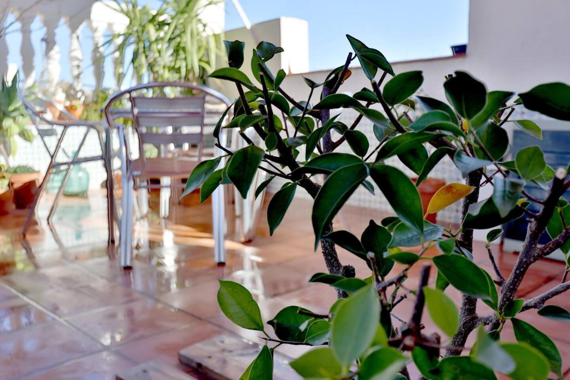 Apartament Atico Con Terraza En Pleno Centro Kordoba Zewnętrze zdjęcie